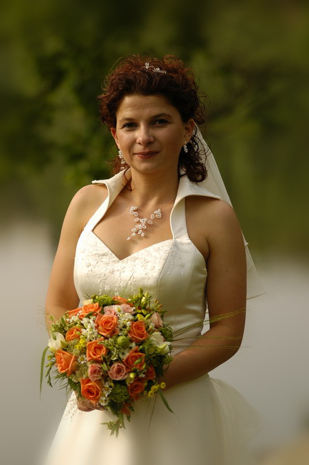 Image 16 of 31  -  84 kB